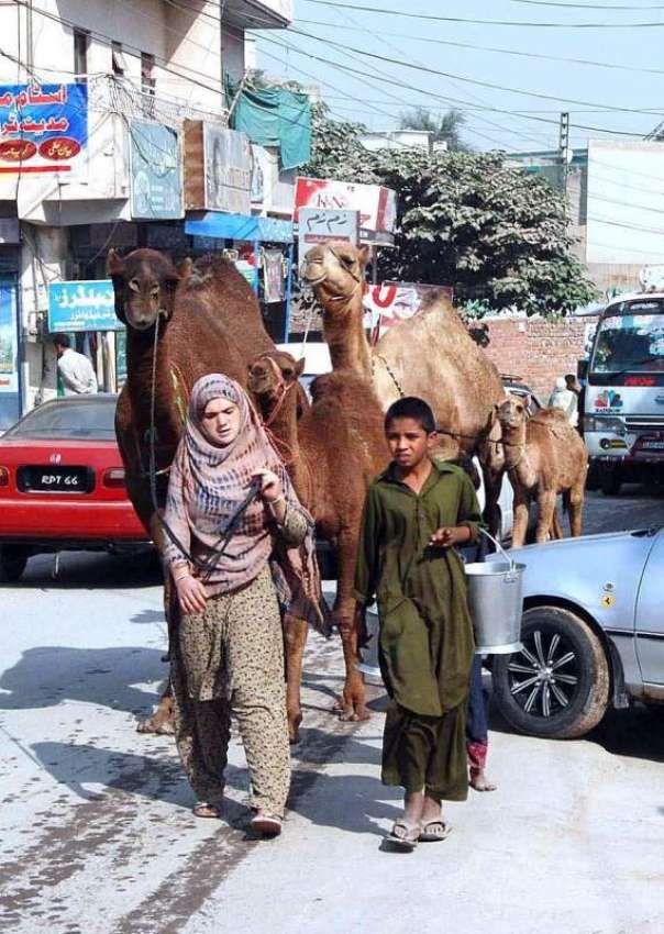 راولپنڈی: خانہ بدوش خاتون اپنے بچے کے ہمراہ اونٹنی کا دودھ ..