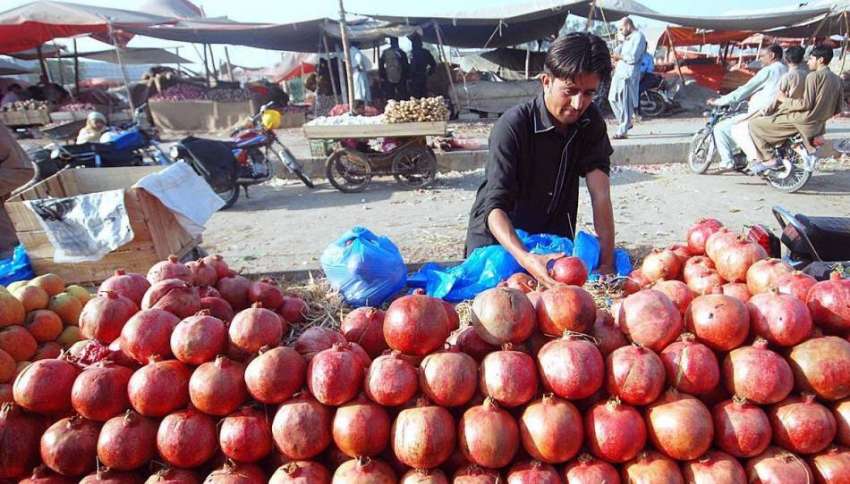 اسلام آباد: ریڑھی بان فروخت کے لیے موسمی پھل (انار) سجا رہا ..