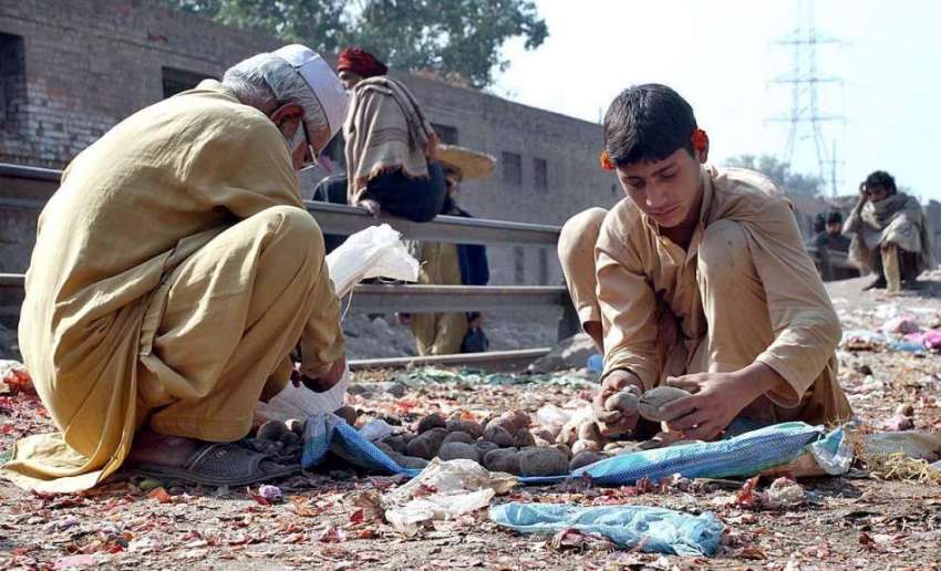 پشاور: خانہ بدوش بچہ سبزی منڈی سے کار آمد سبزی تلاش کر رہا ..