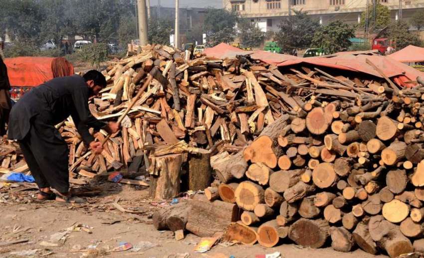 اسلام آباد: محنت کش ٹال پر لکڑیاں کاٹ کر کار آمد بنا رہا ہے۔