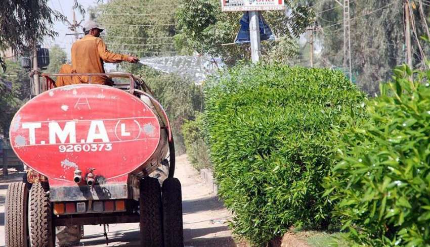 حیدر آباد: ٹی ایم اے کا اہلکار پودوں کو پانی لگا رہا ہے۔