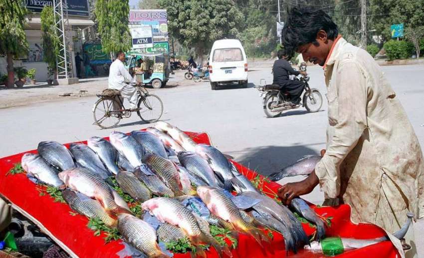 حیدر آباد: دکاندار سڑک کنارے لگائے گئے سٹال پر مچھلی فروخت ..