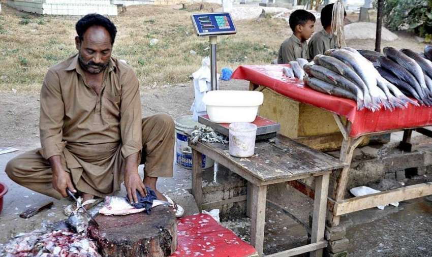 اسلام آباد: مچھلی فروش سڑک کنارے سٹال لگائے مچھلی فروخت ..
