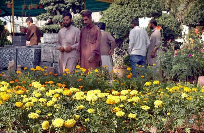 اسلام آباد: مقامی نرسری سے شہری موسمی پودے پسند کر رہے ہیں۔