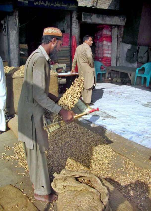 فیصل آباد: موسم سرما کی آمد کے موقع پر مونگ پھلی کی فروخت ..