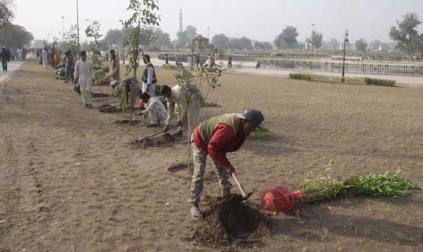 لاہور: پی ایچ اے کے ملازمین گریٹر اقبال پارک میں پودے لگانے ..
