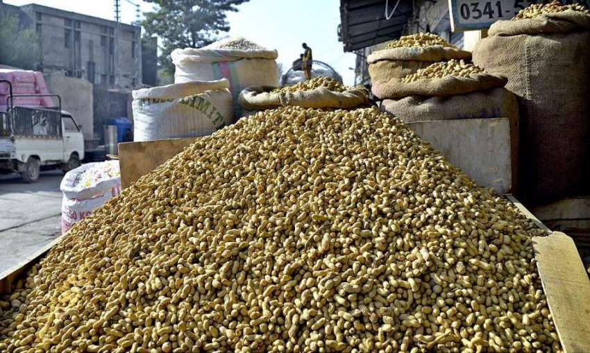 راولپنڈی: موسم سرما کے آتے ہی مونگ پھلی مارکیٹوں میں عام ..
