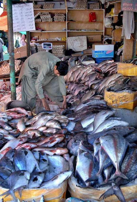 اسلام آباد: مچھلی فروش گاہکوں کو متوجہ کرنے کے لیے اپنے دکان ..