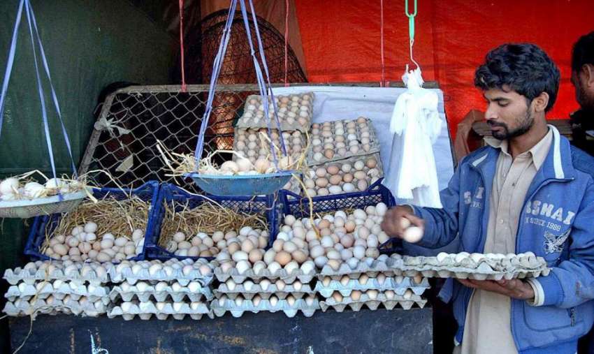 اسلام آباد: سردی کے پیش نظر دکاندار دیسی انڈے فروخت کے لیے ..