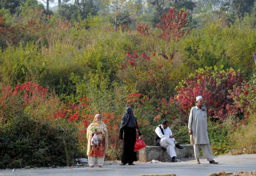 اسلام آباد: وفاقی دارالحکومت میں کشمیر ہائی وے پر مسافر ..