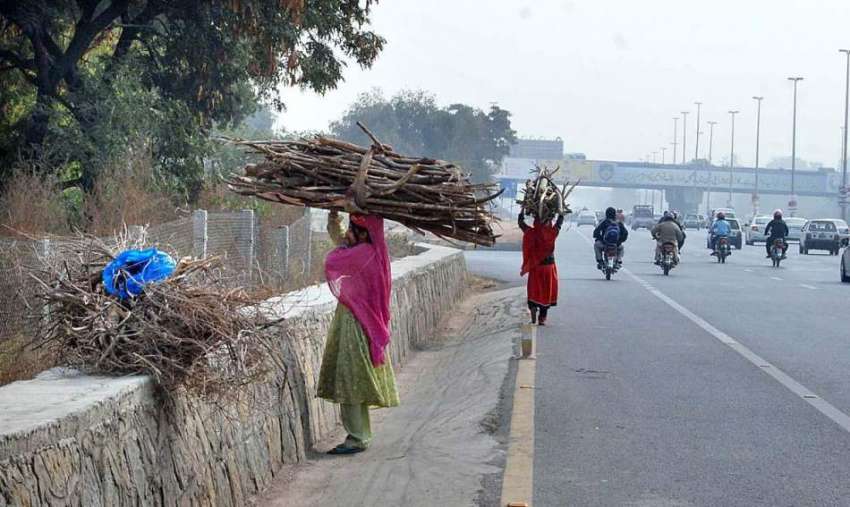 راولپنڈی: خانہ بدوش خواتین گھر چولہا جلانے کے لیے خشک لکڑیاں ..