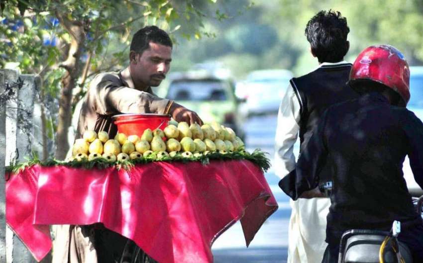 راولپنڈی: محنت کش تازہ امرود سائیکل پر رکھے فروخت کے لیے ..