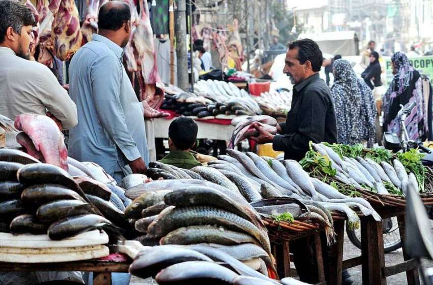 راولپنڈی: سردی کی آمد کے ساتھ ہی مچھلی کی مانگ میں بھی اضافہ ..