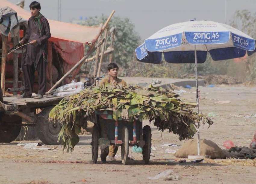 راولپنڈی: ایک افغان بچہ سبزی منڈی سے پتے اکٹھے کرنے کے بعد ..