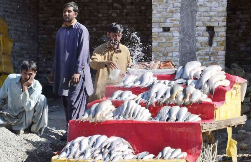 کوئٹہ: روڈ کنارے مچھلیوں کا سٹال لگائے ریڑھی بان مچھلیوں ..