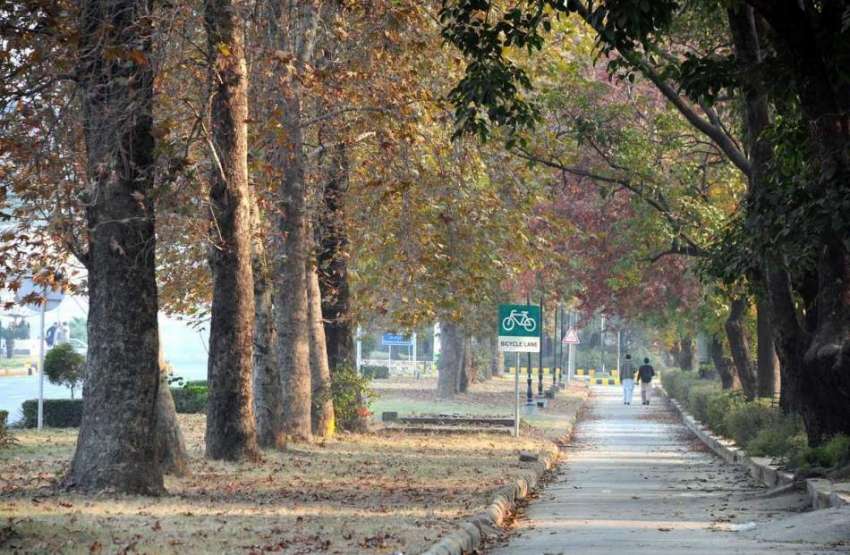 اسلام آباد: موسم کی تبدیلی کے ساتھ درختوں پر لگے پتے بھی ..
