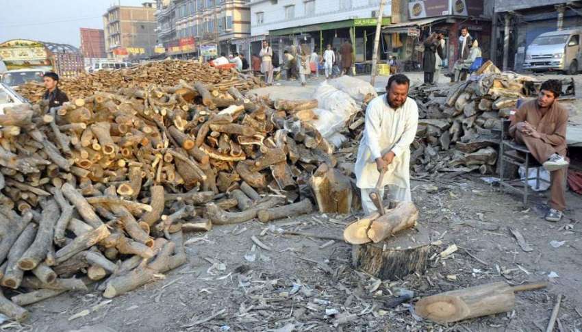 راولپنڈی: محنت کش لکریاں کاٹنے میں مصروف ہے۔