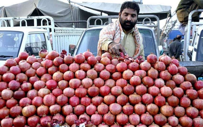 اسلام آباد: ریڑھی بان فروخت کے لیے ریڑھی پر انار سجا رہا ..