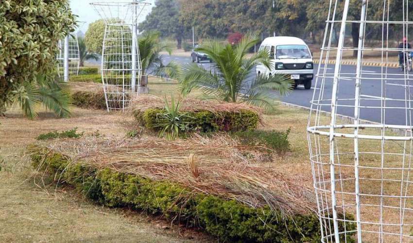 اسلام آباد: سڑک کنارے لگائے گئے پودوں کو خوبصورت جال کی مدد ..
