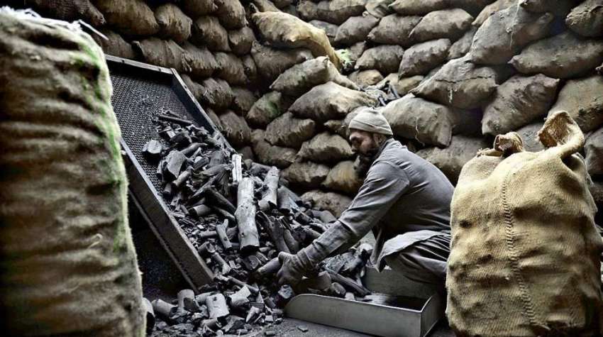 راولپنڈی: محنت کش فروخت کے لیے کوئلہ چن کر بوریوں میں رکھ ..