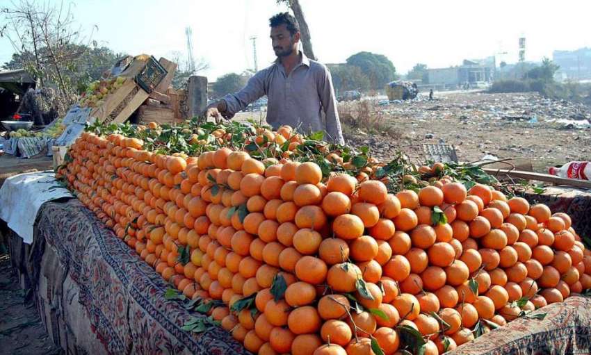 اسلام آباد: ریڑھی بان فروخت کے لیے کینو ریڑھی پر رکھے گاہکوں ..