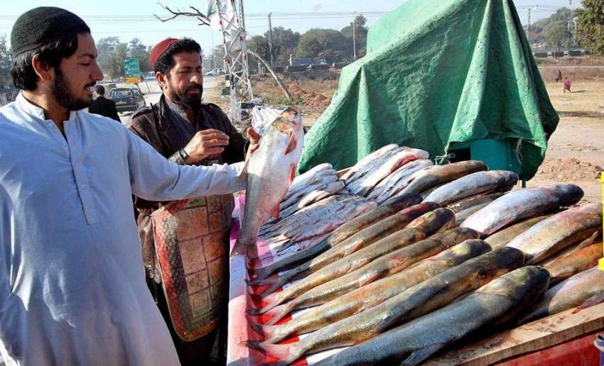 اسلام آباد: شہری مچھلی فروش سے مچھلی خرید رہا ہے۔