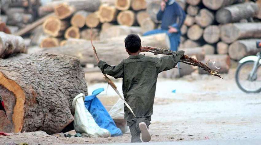 راولپنڈی: خانہ بدوش بچہ گھر کو چولہا جلانے کے لیے خشک لکڑیاں ..