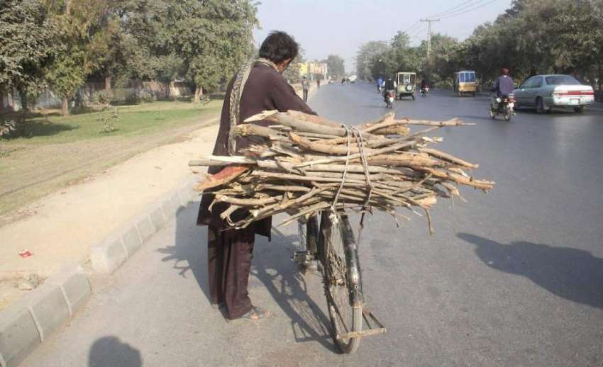 لاہور: ایک شہری گھر کا چولہا جلانے کے لیے لکڑیاں سائیکل پر ..