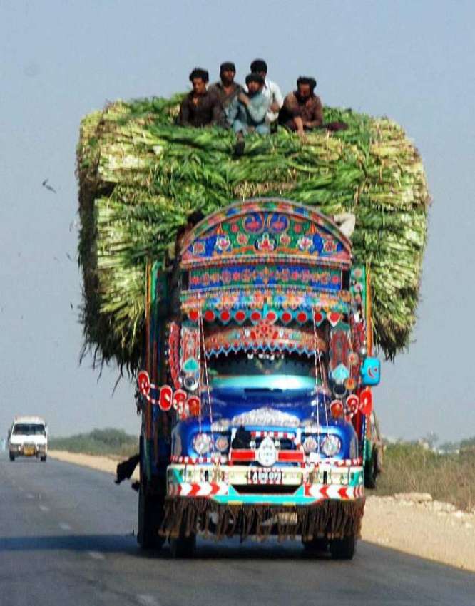 حیدر آباد: چارے سے بھر ٹرک پر مزدور خطر ناک انداز سے سفر کر ..