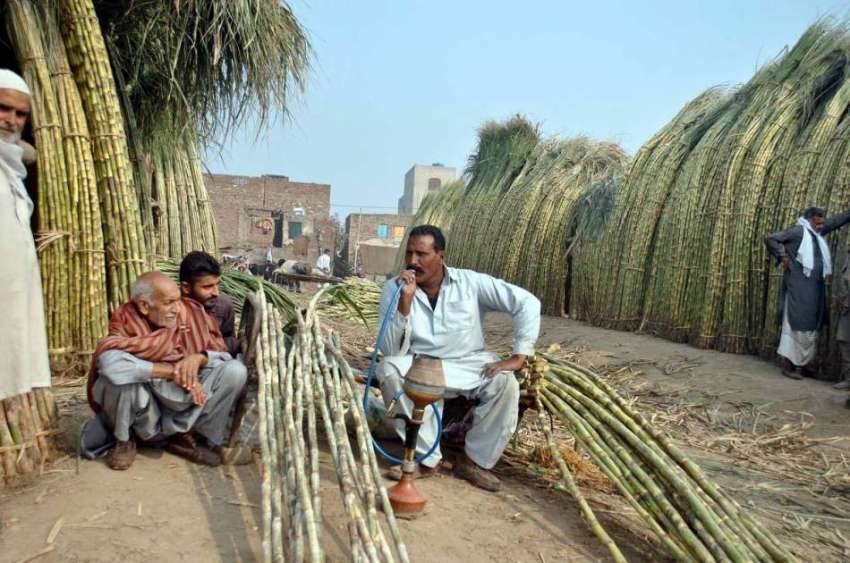لاہور: بیوپاری پھل منڈی میں گنا فروخت کے لیے لگائے گاہکوں ..