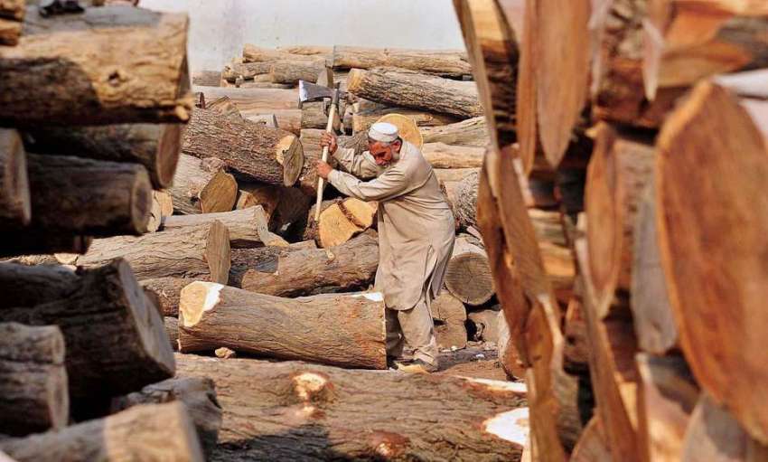 راولپنڈی: ایک معمر محنت کش ٹال پر لکڑیاں کاٹ رہا ہے۔