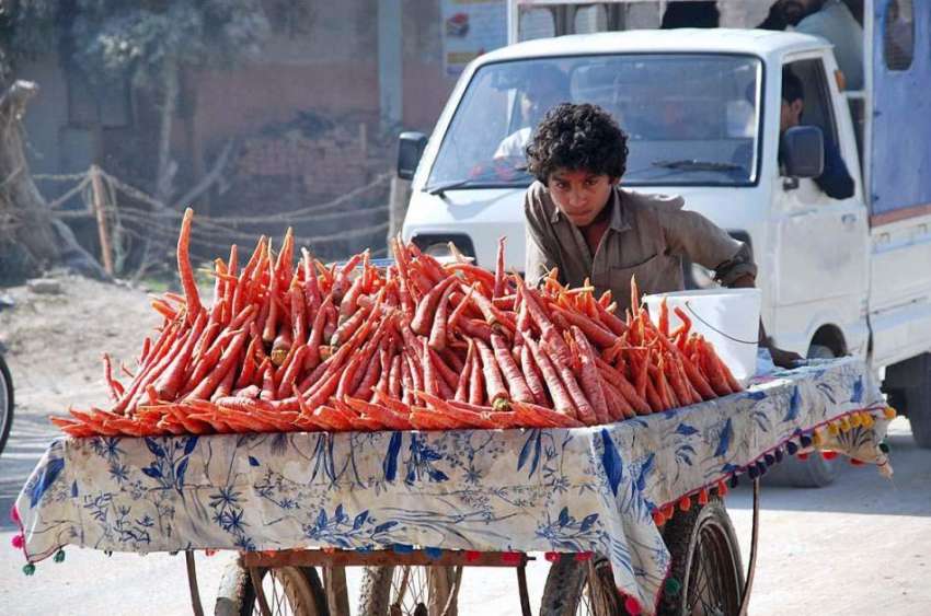 حیدر آباد: ایک کمسن بچہ ہتھ ریڑھی پر گاجریں فروخت کے لیے ..