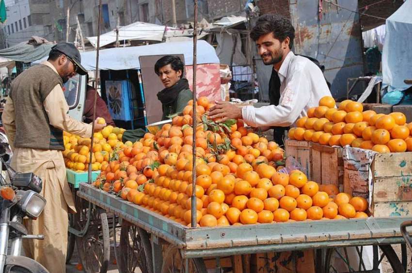 حیدر آباد: ایک شہری ریڑھی بان سے موسمی پھل پسند کر رہا ہے۔