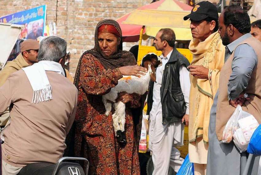 راولپنڈی: ایک معمر خاتون بکرے کا بچہ اٹھائے کھڑی ہے۔
