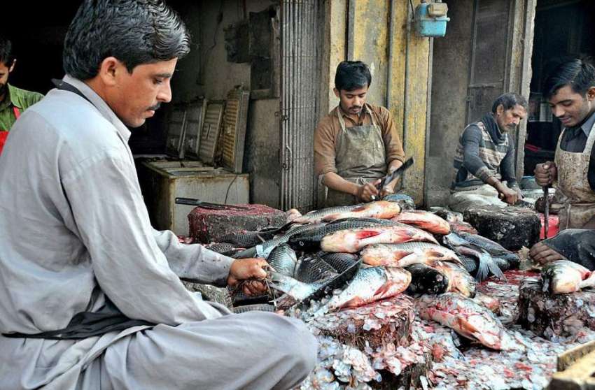 ملتان: مچھلی فروش مچھلی کی صفائی میں مصروف ہیں۔