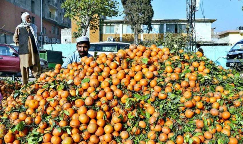 اسلام آباد: دکاندار کینو فروخت کر رہا ہے۔