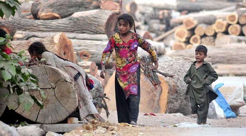 راولپنڈی: خانہ بدوش بچے گھر کاچولہا جلانے کے لیے خشک لکڑیاں ..