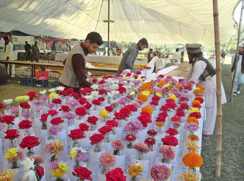 فیصل آباد: جناح پارک میں منعقدہ سالانہ پھولوں کی نمائش میں ..