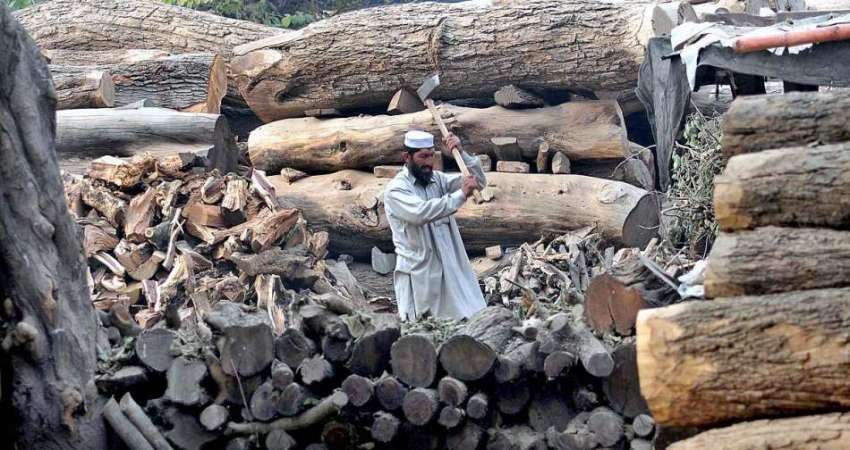 راولپنڈی: محنت کش ٹال پر لکڑیاں کاٹنے میں مصروف ہے۔