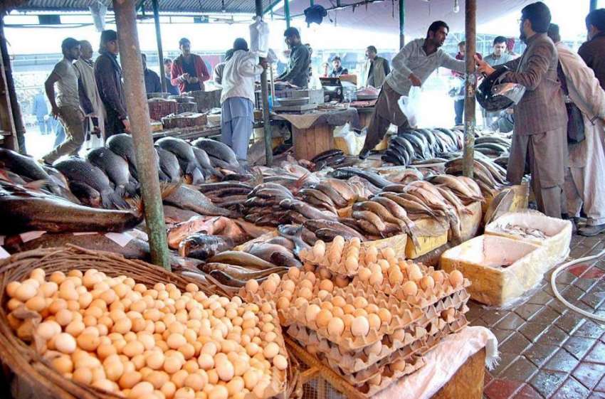 اسلام آباد: مچھلی فروش نے مختلف اقسام کی مچھلی فروخت کے لیے ..