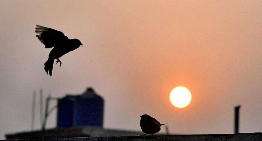 راولپنڈی: شام کے وقت غروب آفتاب کا خوبصورت منظر۔