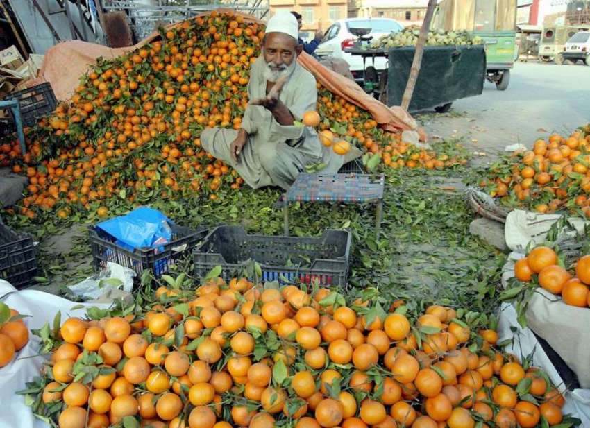 راولپنڈی: محنت کش سٹال پر مالٹے لئے گاہکوں کے انتظار میں ..