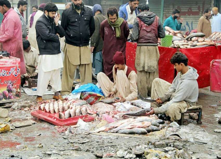 لاہور: سردی کی شدت میں اضافے کے ساتھ ہی شہری منڈی سے مچھلی ..