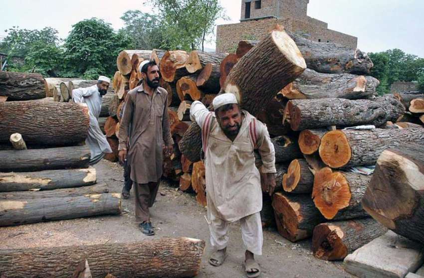 راولپنڈی: لکڑی کے ٹال پر مزدور لکڑیاں ترتیب سے رکھ رہے ہیں۔
