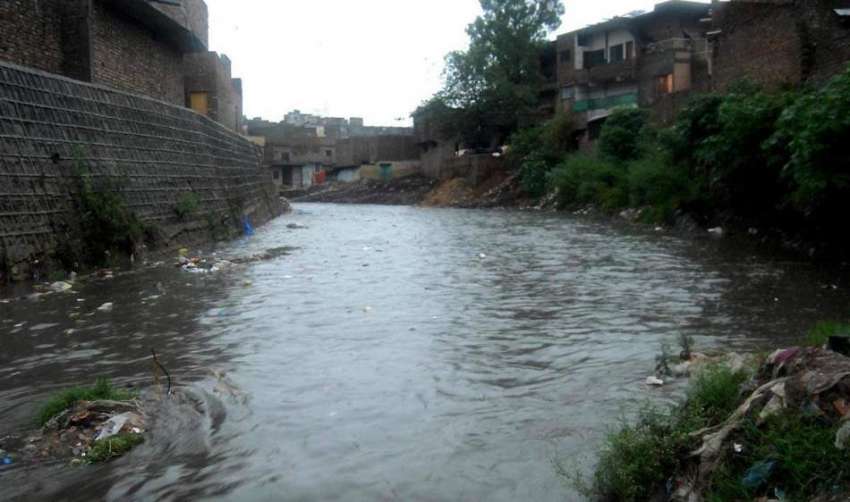 راولپنڈی: شدید بارش کے دوران پیر ودھائی نالہ لئی میں طغیانی ..