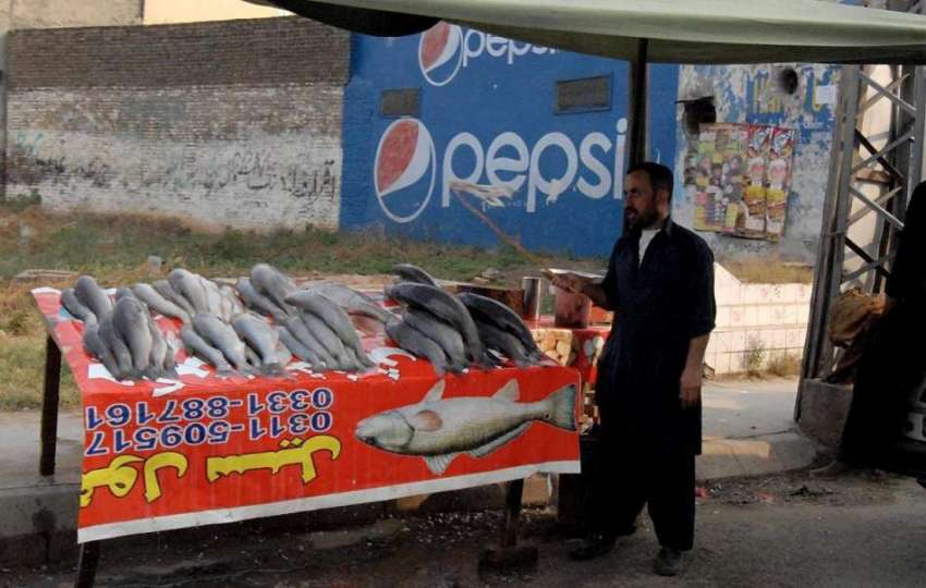 راولپنڈی: بدلتے موسم کے ساتھ ہی شہر میں مچھلی کے سٹال سجنے ..