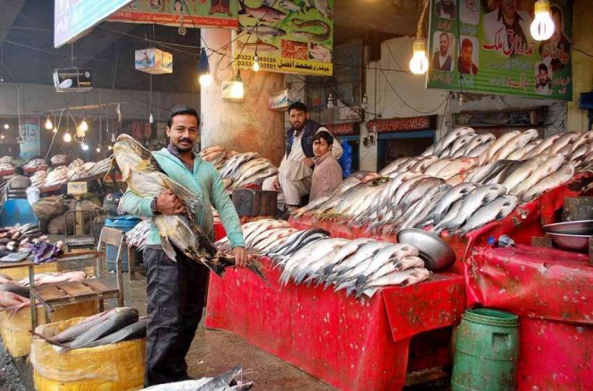 فیصل آباد: مچھلی فروش مچھلی کا سٹال لگائے گاہکوں کا منتظر ..