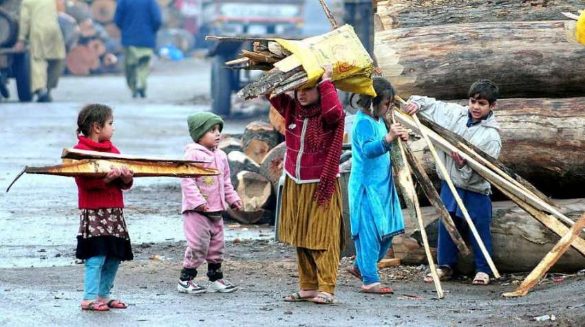 راولپنڈی: خانہ بدوش بے گھر کا چولہا جلانے کے لیے خشک لکڑیاں ..