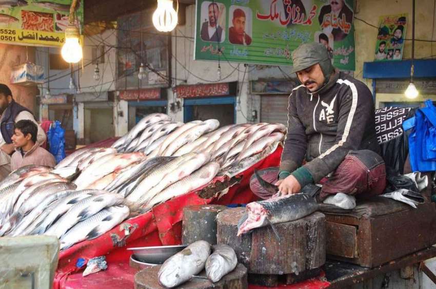 فیصل آباد: مچھلی فروش مچھلی بنانے میں مصروف ہے۔