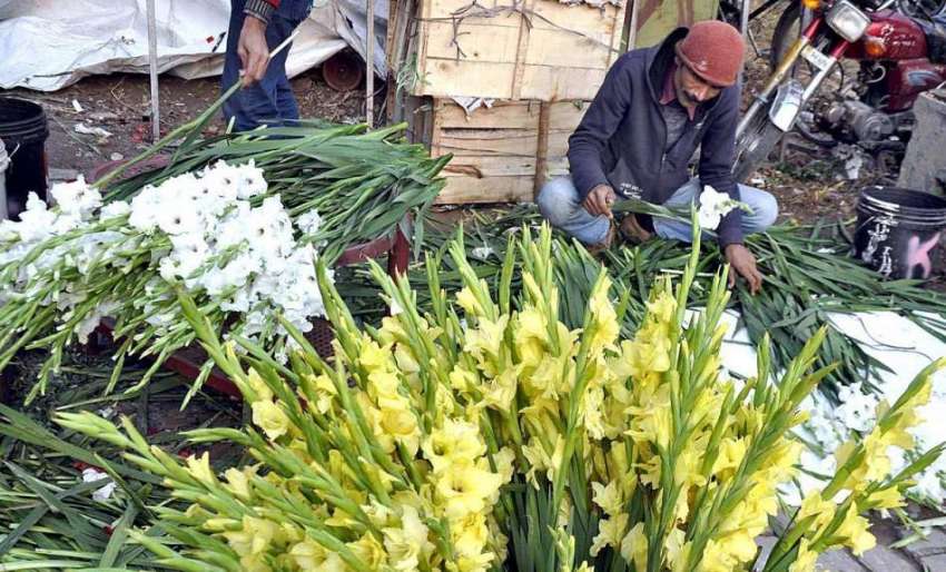 اسلام آباد: ایک محنت کش سڑک کنارے فروخت کے لیے پھولوں کا ..